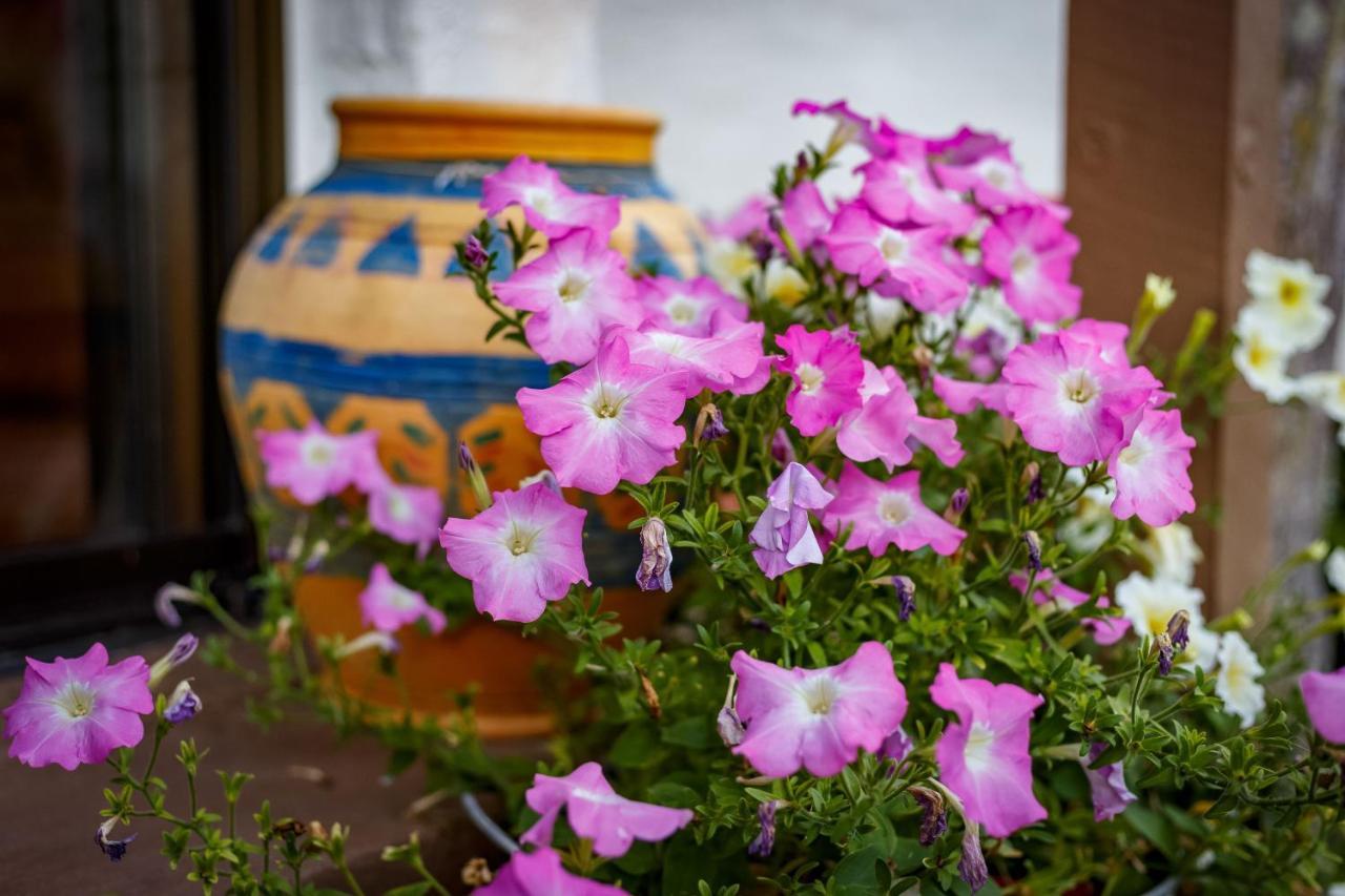 Sensom Boutique Bed And Breakfast Sapphire Beach Eksteriør bilde