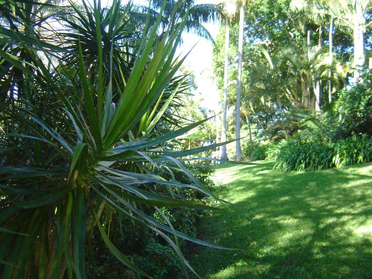 Sensom Boutique Bed And Breakfast Sapphire Beach Eksteriør bilde